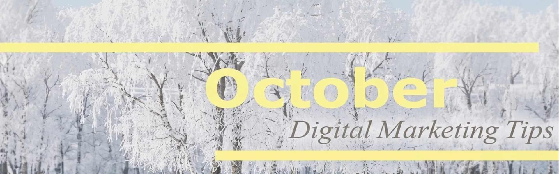 October 2016 – Winter Holiday Prep – Digital Marketing Tips & Insights